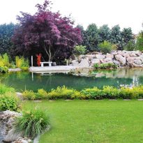 Garten- und Landschaftsbau Rohe Teichgestaltung