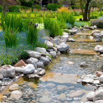Garten- und Landschaftsbau Rohe Teichgestaltung